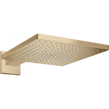 Palarie dus Hansgrohe Raindance, brat de perete, bronz periat