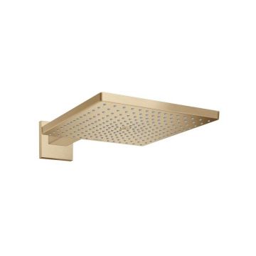 Palarie si brat de dus Hansgrohe Raindance Select E 300 bronz periat