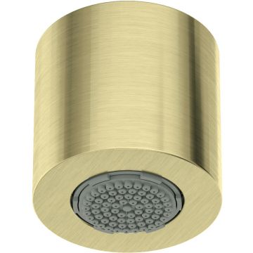 Palarie de dus fixa Deante 4,2 cm auriu