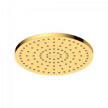 Palarie de dus Duravit Shower 250 MinusFlow auriu lucios