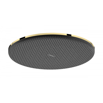 Palarie de dus Hansgrohe Raindance Alive Select S 300 1 jet EcoSmart gold optic