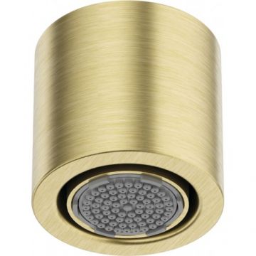 Cap de dus fix Deante Silia cu o functie, auriu periat - Culoare aur periat