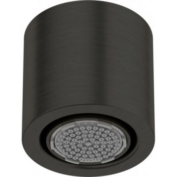 Cap de dus fix Deante Silia cu o functie, negru mat - Culoare Negru