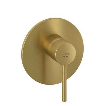 Baterie duș Kludi, Bozz, montaj încastrat, parte vizibilă, auriu periat